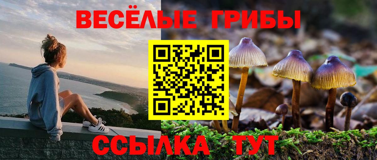 Кизляр  Галлюциногенные грибы мухоморы  Вход с VPN 